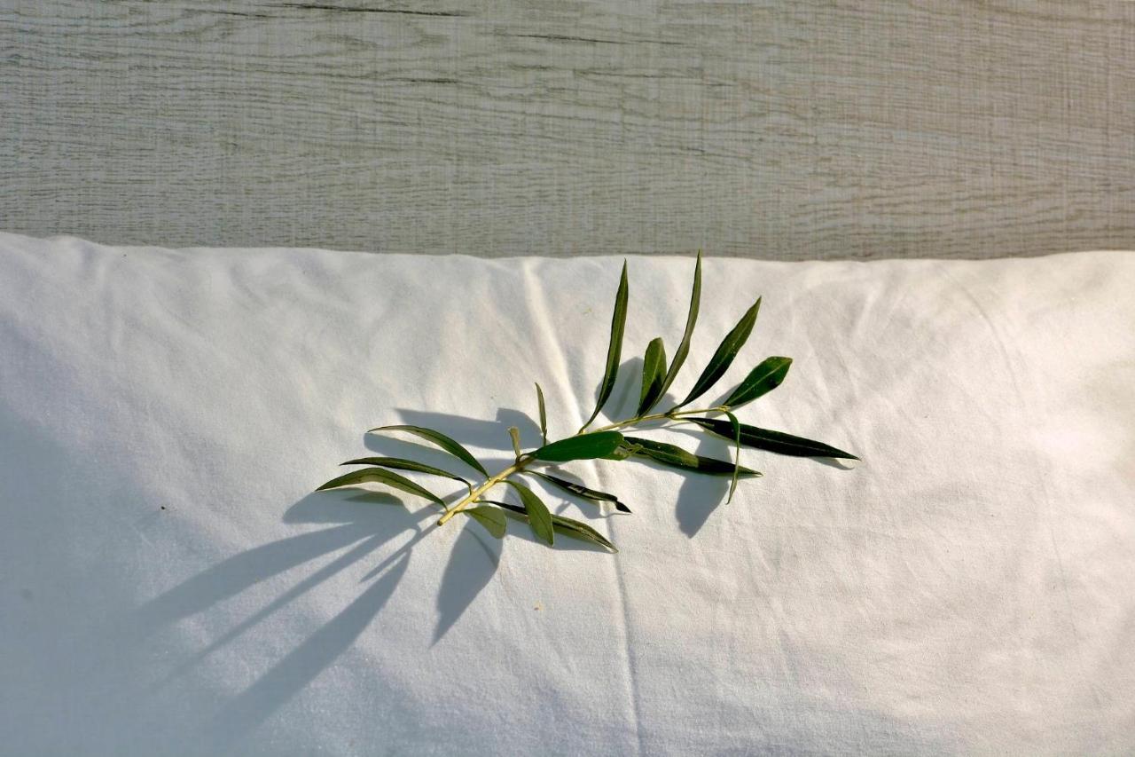 Ago Exclusive Suite Corfu  Exteriér fotografie